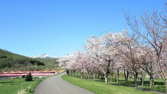 Shiribetsugawa Lan Lan Park