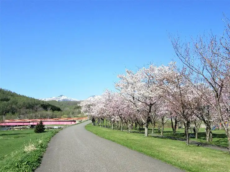 Hotels in Isoya District