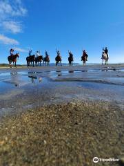 Hack'n Stay Golden Bay, Beach Horse Riding, Camping, Accommodation