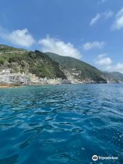 Route Cinqueterre Boat Tours Vernazza