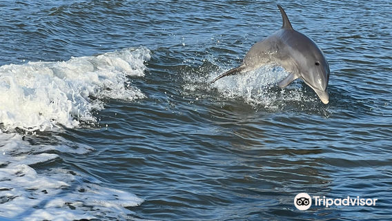 Florida Island Tours