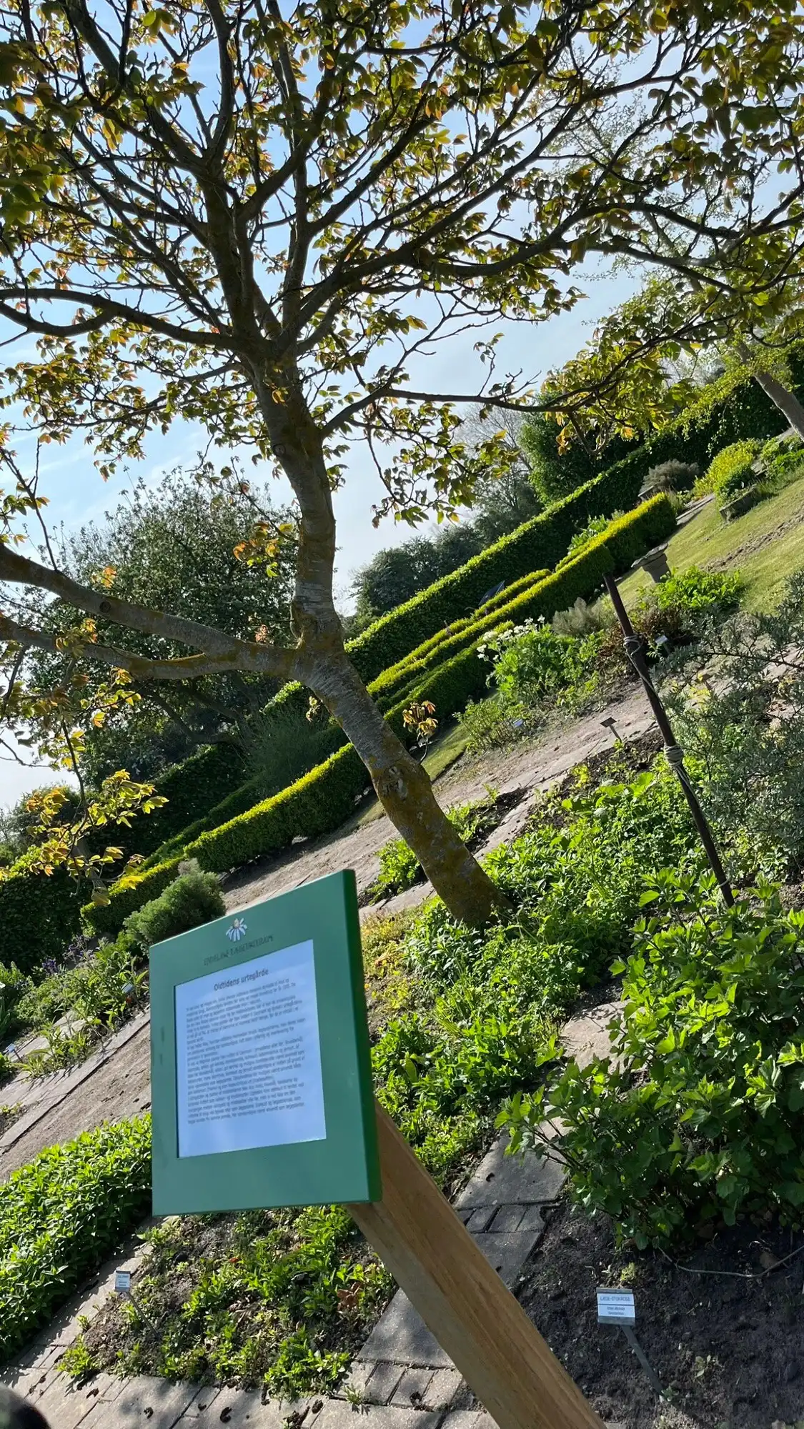 Hotels near Endelave Lægeurtehave