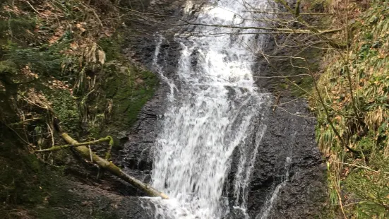 Le Saut de la Bourrique