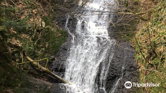 Le Saut de la Bourrique