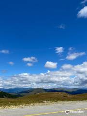 Transalpina