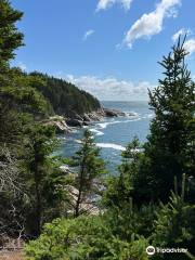 Middle Head Trail