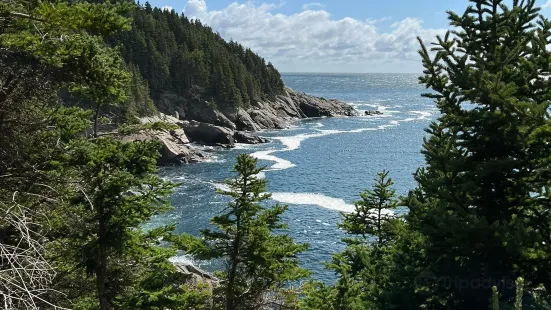 Middle Head Trail