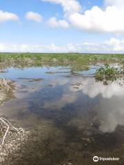 Shipstern Nature Reserve