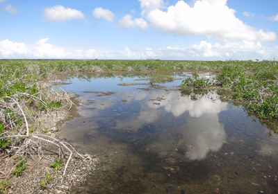 Distretto di Corozal