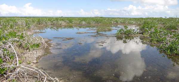 Homestays in Corozal, Belize