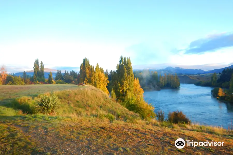 Upper Clutha River Track