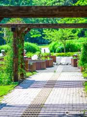 Jardin botanique de Tallinn