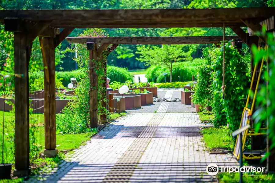 タリン植物園