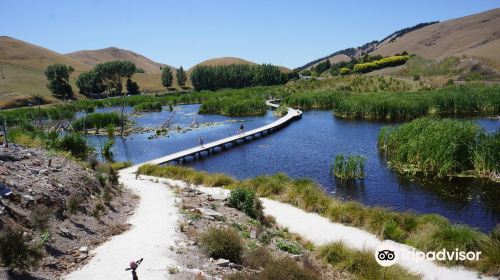 Pekapeka Wetlands