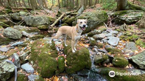 Race Brook Falls