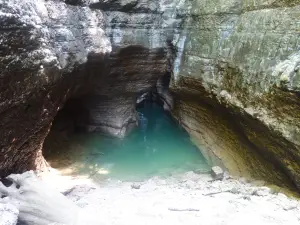 Source de l'Ain
