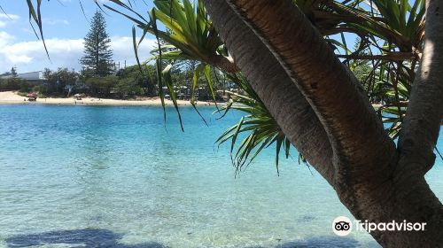 Tallebudgera Creek