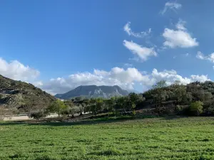 Fuente De Los 100 Caños