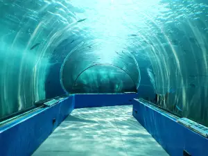 のとじま水族館