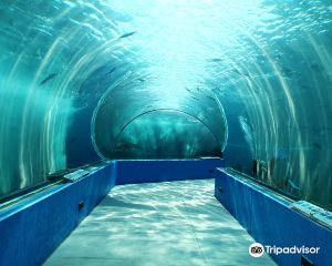 香港-七尾市 機票酒店 自由行