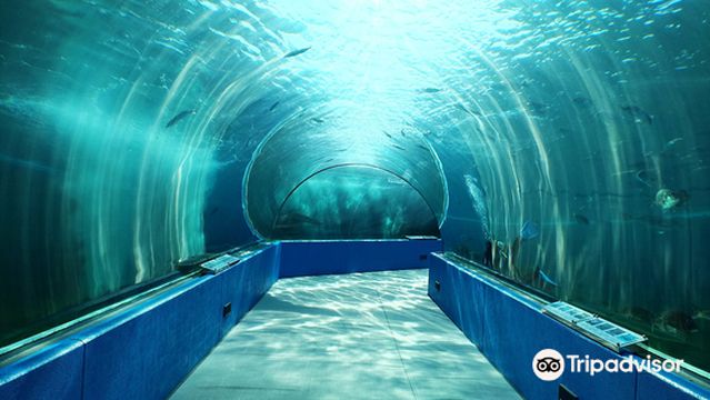 Notojima Aquarium