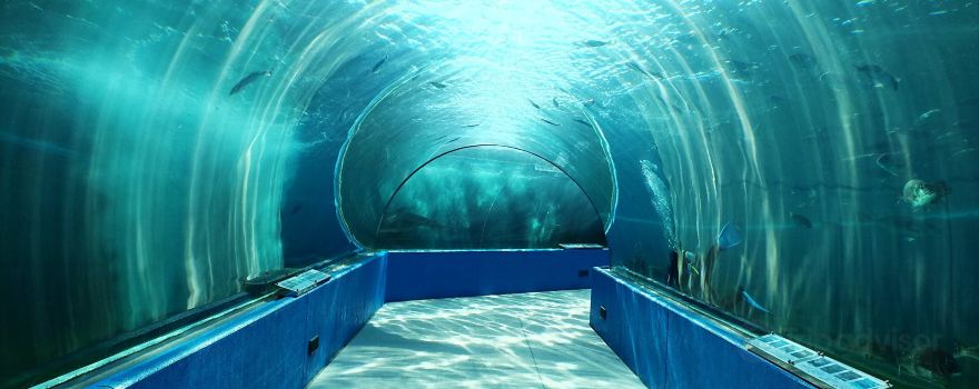 Notojima Aquarium