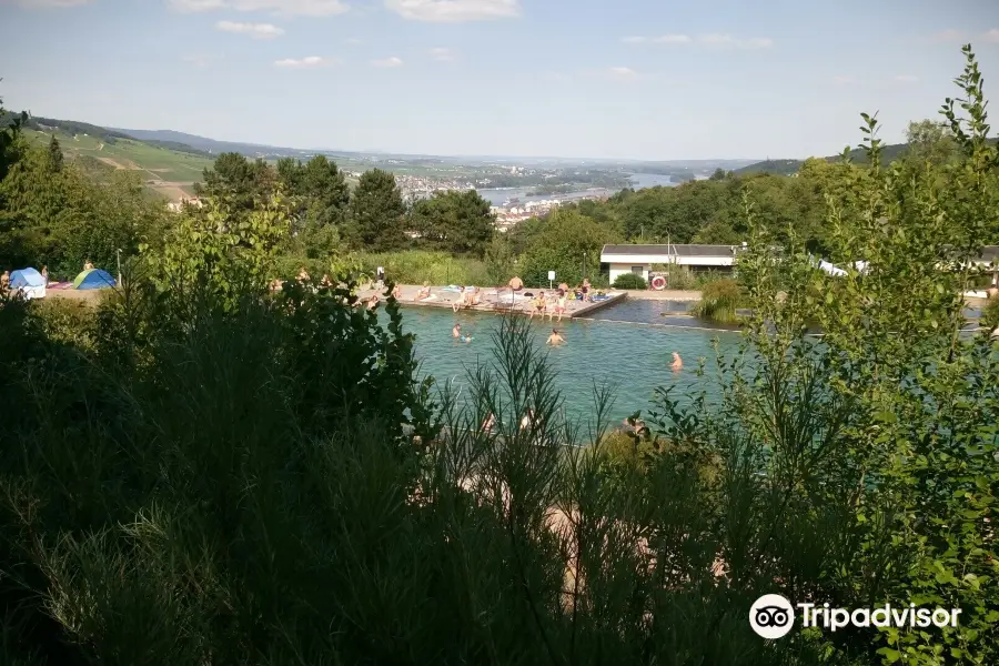 Naturerlebnisbad Bingen