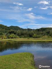 Koh Chang Golf Course