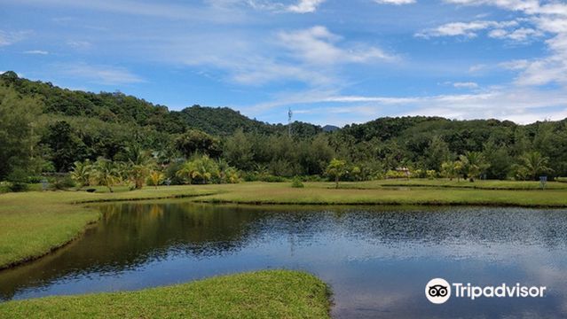 Koh Chang Golf Course