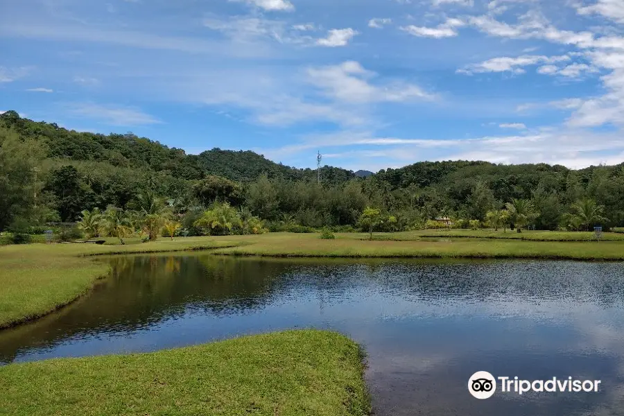 Koh Chang Golf Course