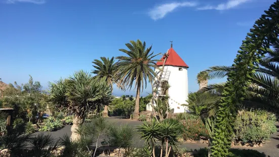 Museo Agricola el Patio