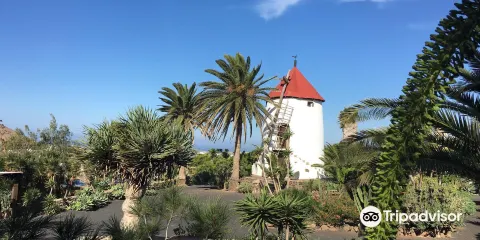 Museo Agricola el Patio