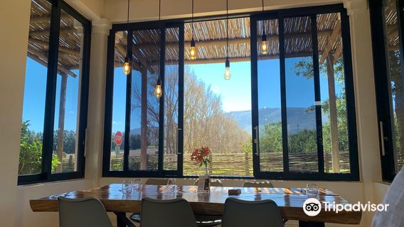 Paul Clüver Family Wines