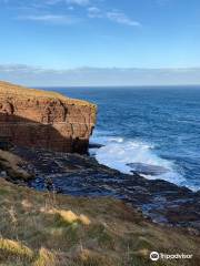 Mull Head Nature Reserve