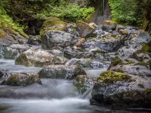 Rosewall Creek Provincial Park