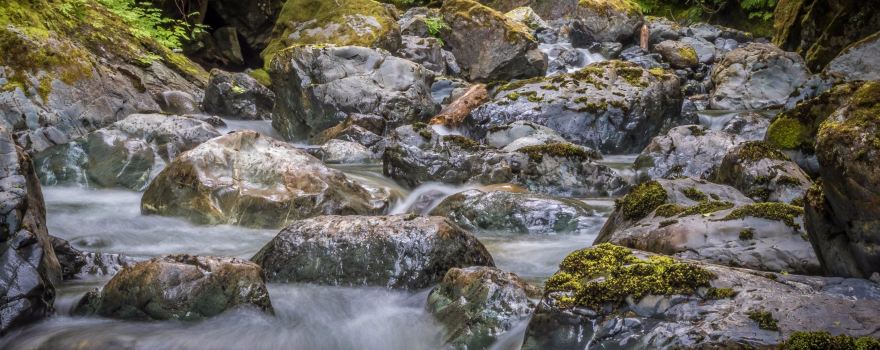 Rosewall Creek Provincial Park