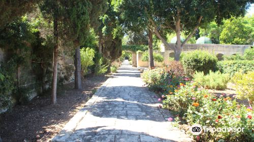 San Anton Gardens