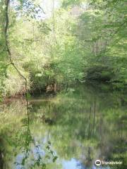 Occoneechee Mountain State Natural Area