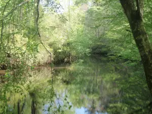 Occoneechee Mountain State Natural Area