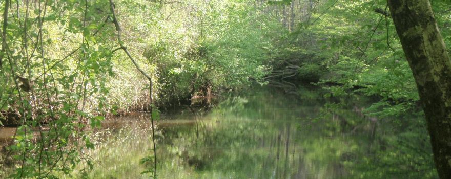 Occoneechee Mountain State Natural Area