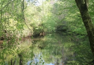 Occoneechee Mountain State Natural Area