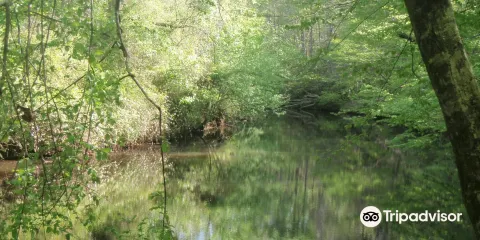 Occoneechee Mountain State Natural Area