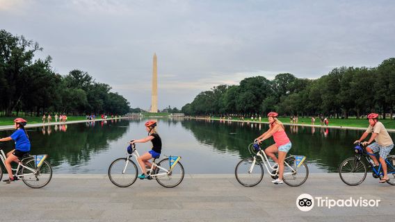 Washington D.C.