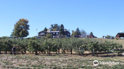 Lawrence Farms Orchards