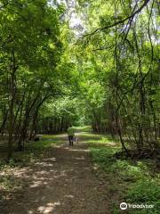 Lower Meramec Park,Trails, & Lake