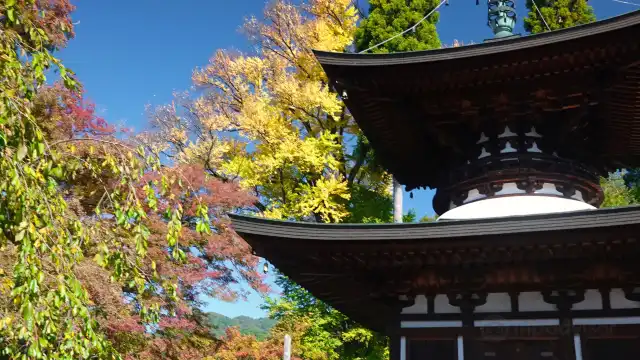 鄰近溫泉寺的酒店