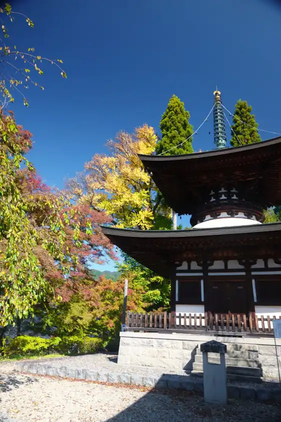 臨江山温泉寺周辺のホテル