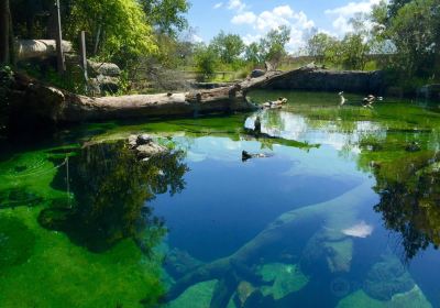 Flint RiverQuarium