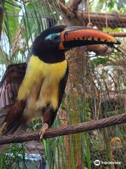 The Dallas World Aquarium