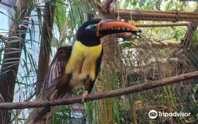 The Dallas World Aquarium